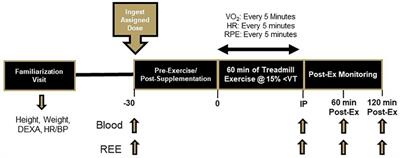 Metabolic impact of feeding prior to a 60-min bout of moderate-intensity exercise in females in a fasted state